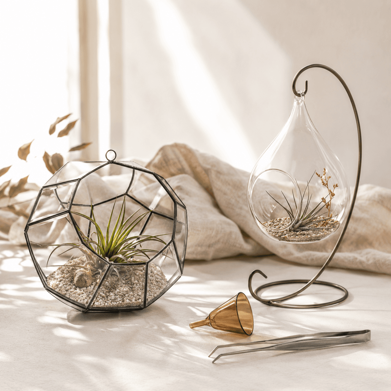 Terrarium Starter Kit — A geometric orb and a hanging teardrop to start a tiny green world.
